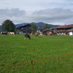 Ferienwohnung Max Hofreiter