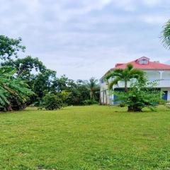 Maison cosy en pleine nature