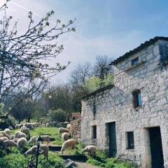 Ferme de Lacassagne