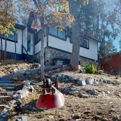 The Hillside Sanctuary