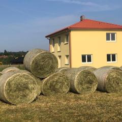 Apartment Gartenblick