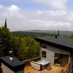 Maison contemporaine Tremblant- Spa & tranquillité