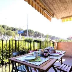 Ficus Plus - Pineto Vacanza
