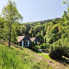 Ferienwohnung in Triberg am Waldrand - idyllisch, ruhig, erholsam