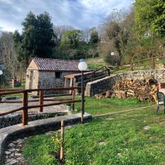 La casa nel bosco