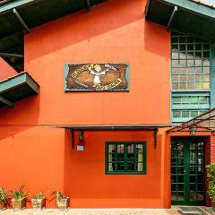 Avó Isaura - Aluguel de Estúdios