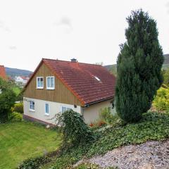 Large detached holiday home in Hesse with private garden and terrace