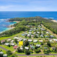 Elanora