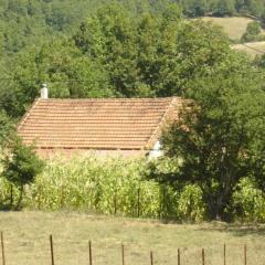 The Lake's House