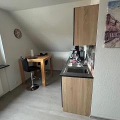 1 Zi Apartment im Stadtzentrum