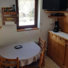 Charmant 2 pièces avec terrasse, proche commodités et navettes, 4 pers, WiFi, parking, Châtel - FR-1-676-187