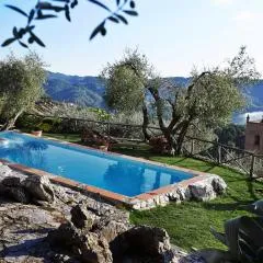 Peralta Tuscany