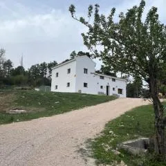 Secuoyas Casa rural Cortijo la Paloma