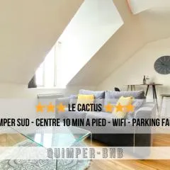 LE CACTUS - Beau T2 - 10 min du centre à pied et parking facile