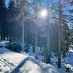 Ferienwohnung Dalmatiner