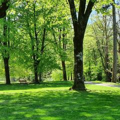 Appartement Parc