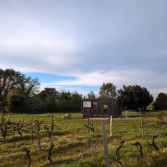 Tiny House au milieu des Vignes