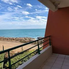 Appt 8 pers / garage / terrasse / vue mer