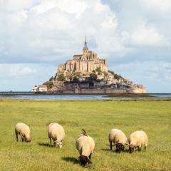 Vue unique sur le Mont St Michel