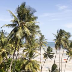 Beachfront Bliss Apartment