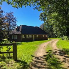 Tussen Heide en Bos