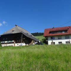 Hinterbauernhof Fewo Kuhgeflüster