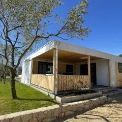 Arabela Lux Villa