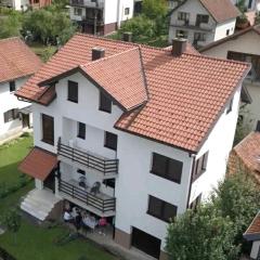 Apartments D&S Bajina Basta with barbicue