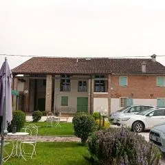 il salice