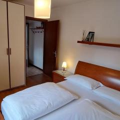 Little apartment in Dolomiti