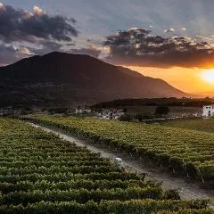 Giardino Delle Oche - Ocone Taburno Wine County