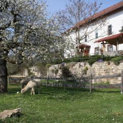 Charmante Ferienwohnung in Camburg mit Botanischem Garten