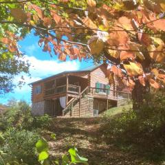 Cabin on the Hill at Laurel Springs Farm, Laurel Run, Hocking Hills
