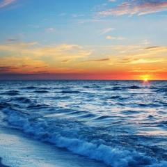 Fully Furnished rooms IN an apartment near the beach