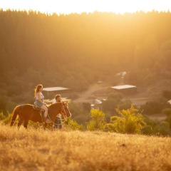 Glamping, escapada en la naturaleza