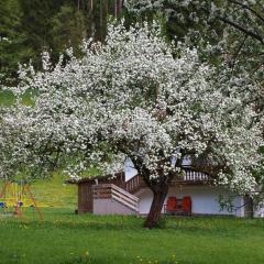 Gemütliches Ferienhaus in Hart Im Zillertal mit Garten, Terrasse und Grill