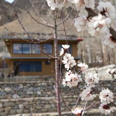 Hostel Nomads Hunza