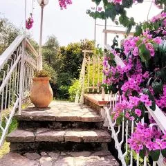 Appartamento la Bouganville