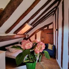 Charming LOFT in Historical Center of Paris