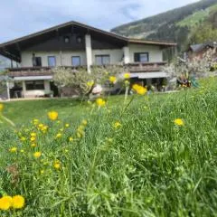 Apart Bergblick