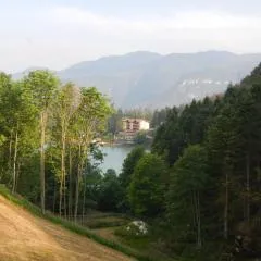Hotel Al Lago