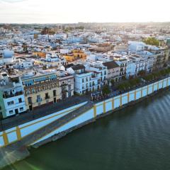 Wonderful duplex in Calle Betis