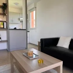 Charming one bedroom apartment, - pres des commerces et tram FIBRE wifi, Airbus MEET super location