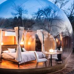 Horizonte Bubble rooms