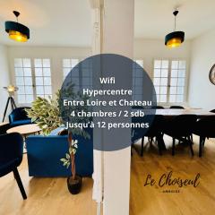 Le Choiseul - T5 entre Loire et Château Royal - Manoir de la Concorde