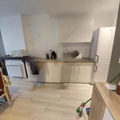résidence Les hortensias L4