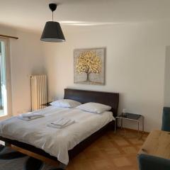 Sunny studio in the city center (Oken1)