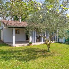 Gorgeous Home In Valbandon With Wifi