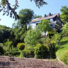 The Waldhaus Modern retreat