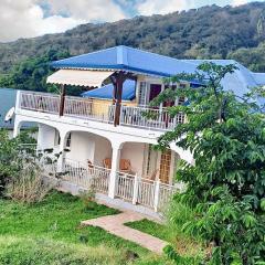 Propriete de 3 chambres avec vue sur la mer jardin amenage et wifi a Vieux Fort